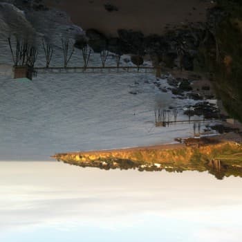 Profil de Zayneb, 43 ans, Rencontre Asiatique à Bussy-sur-Moudon (Vaud)