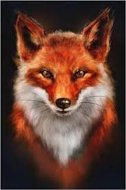 Badis - Rencontre Asiatique à Hünenberg Profil de Badis, 26 ans, Rencontre Asiatique à Hünenberg (Zoug)