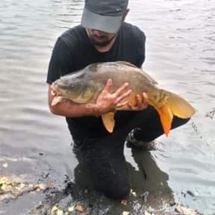 Profil de Ezéchiel, 44 ans, Rencontre Asiatique à Pfäffikon ZH (Zurich)