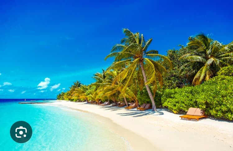 Profil de Deniz, 27 ans, Rencontre Asiatique à Luchsingen (Glaris)