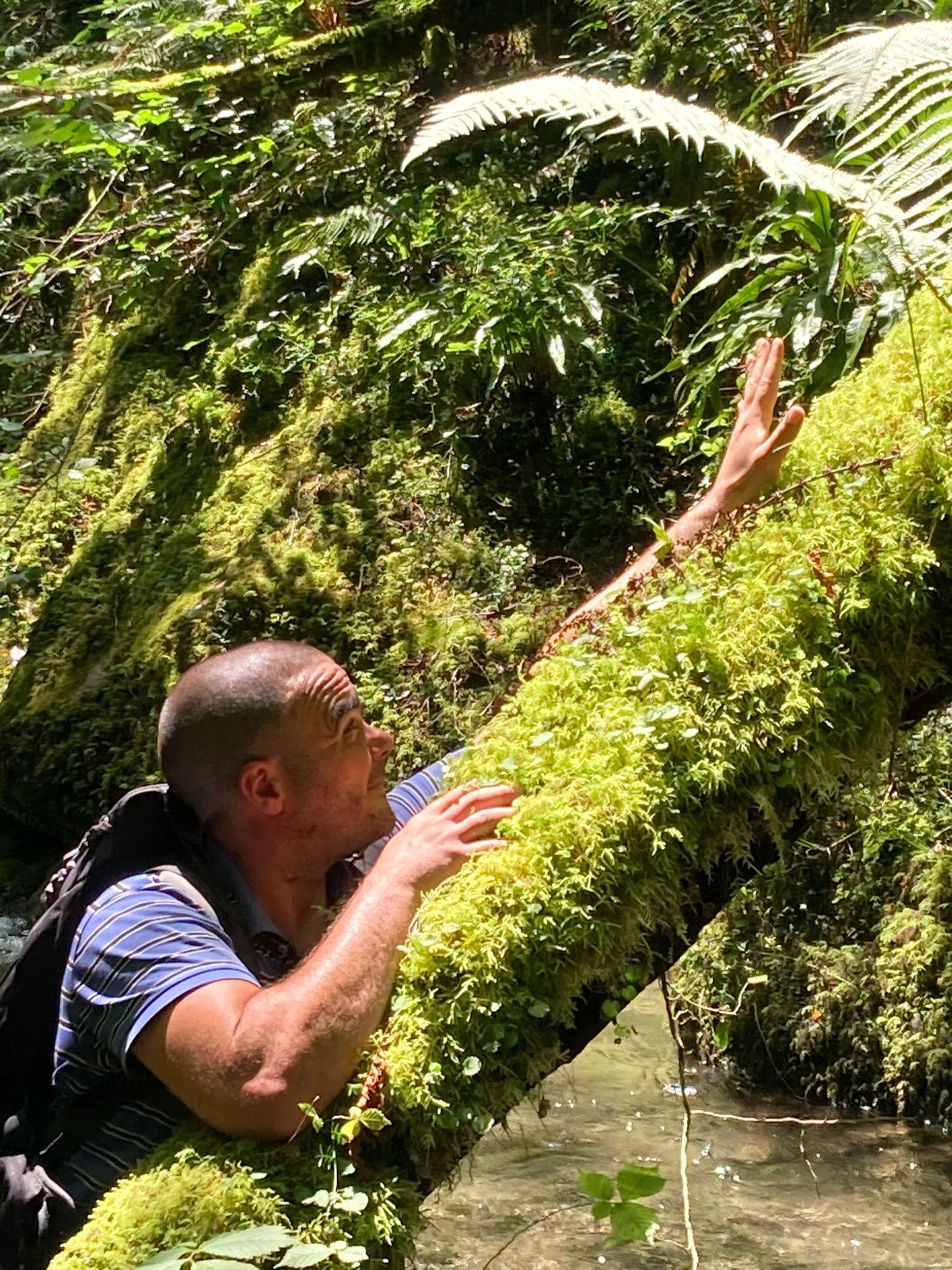 Profil de Andreas, 29 ans, Rencontre Asiatique à Schnaus (Grisons)