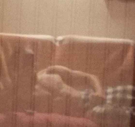 Profil de Matisse, 39 ans, Rencontre Asiatique à Echandens (Vaud)