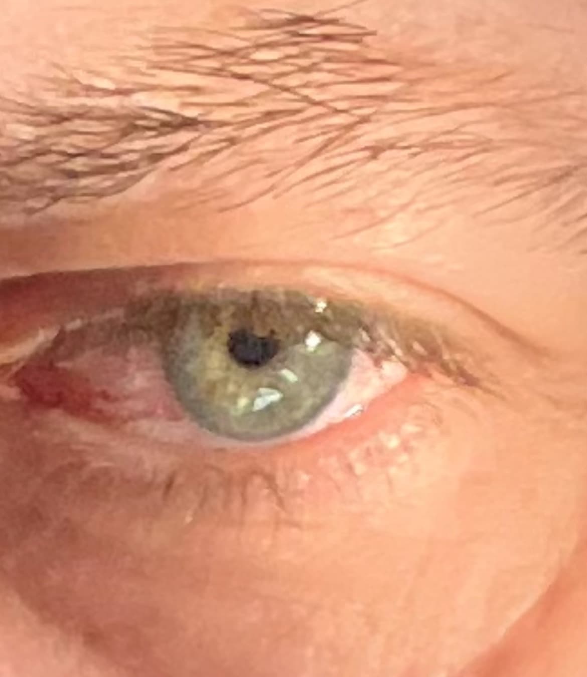 Profil de Maximilien, 44 ans, Rencontre Asiatique à Rougemont (Vaud)